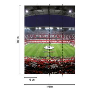 Fotobehang Bayern Stadion Choreo vlies - 1,92cm x 2,6cm