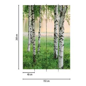 Fotobehang Groen Wit Berkenbos vlies - groen / wit / bruin - 1,92cm x 2,6cm