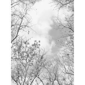 Fototapete Tree Tops Wald Baum Vlies - Grau