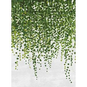 Fototapete Hanging Plants Vlies - Grün / Weiß