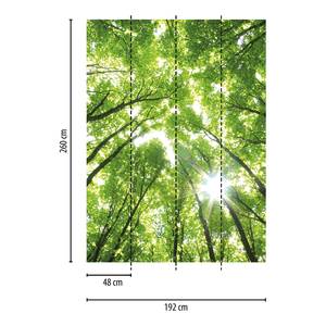 Fotomurale Foresta e sole Tessuto non tessuto - Bianco / Verde - 1,92cm x 2,6cm