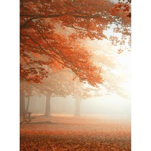 Fototapete Wald im Herbst Vlies - Orange