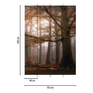Fotomurale Foresta invernale Tessuto non tessuto -  1,92cm x 2,6cm