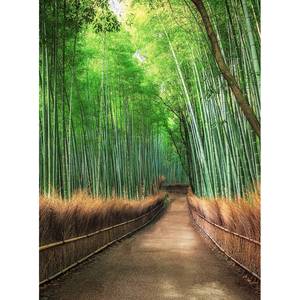 Fotomurale Bambù e sentiero Tessuto non tessuto - Verde / Marrone - 1,92cm x 2,6cm