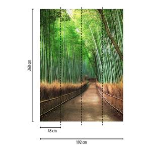 Papier peint Sentier et bambous Intissé - Vert / Marron - 1,92 x 2,6 cm
