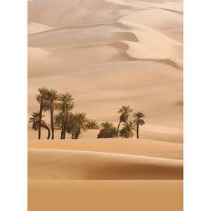 Fototapete Düne Wüste Landschaft Vlies - Beige - Breite: 1.9 cm