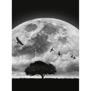 Fotomurale Luna e uccelli Tessuto non tessuto - Nero / Bianco - 1,92cm x 2,6cm