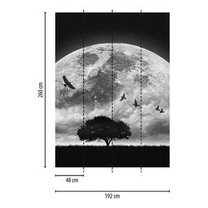 Papier peint Lune et oiseaux Intissé - Noir / Blanc - 1,92 x 2,6 cm