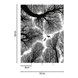Fotomurale Rami e corvi Tessuto non tessuto - Nero / Bianco - 1,92cm x 2,6cm