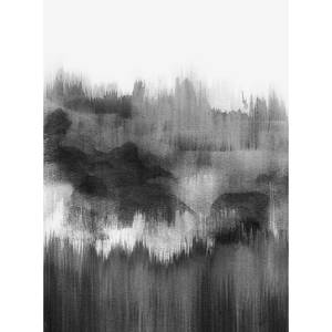 Fotobehang Onderwater vlies - wit / zwart - 1,92cm x 2,6cm - Zwart/walnoothouten look