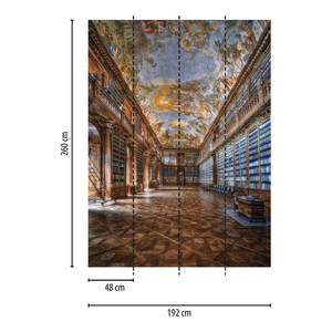 Fotomurale Biblioteca Tessuto non tessuto -  1,92cm x 2,6cm