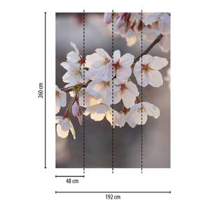 Fotomurale Cherry Blossoms Tessuto non tessuto - Rosa / Bianco / Grigio - 1,92cm x 2,6cm