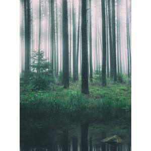 Papier peint In the Woods Intissé - Vert / Gris - 1,92 x 2,6 cm