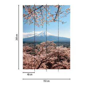 Fotobehang Mount Fuji vlies - blauw / wit / roze - 1,92cm x 2,6cm