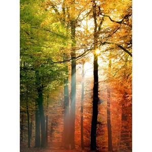 Fototapete Golden Autumn Vlies - Mehrfarbig