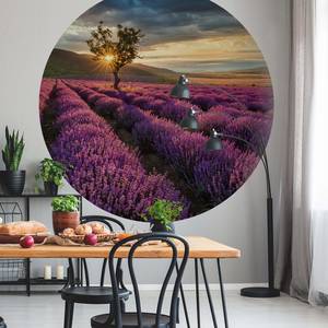 Fotobehang Lavendelveld vlies - 1,4cm x 1,4cm
