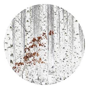 Fotomurale White Birch Forest Tessuto non tessuto - Grigio / Rosso / Bianco - 1,4cm x 1,4cm