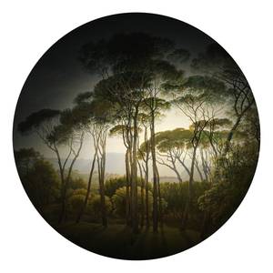 Fotomurale Umbrella Pines Tessuto non tessuto - Verde / Marrone / Nero - 1,4cm x 1,4cm