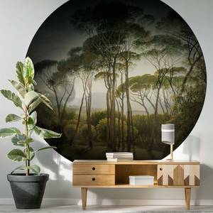 Papier peint Umbrella Pines Intissé - Vert / Marron / Noir - 1,4 x 1,4 cm