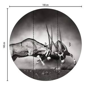 Fotobehang Duel Dieren vlies - zwart / wit - 1,4cm x 1,4cm