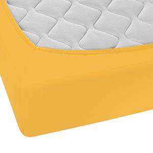 Drap housse en jersey fin 0077144 Jersey de coton - Jaune - 90-100 x 200 cm