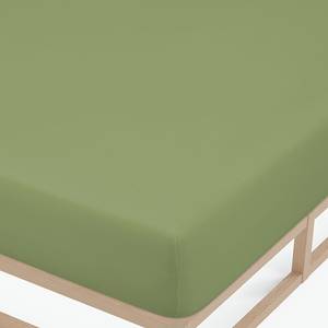 Lenzuolo con gli angoli 0077144 Jersey di cotone - Verde - 180-200 x 200 cm