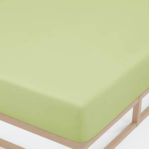 Drap housse en jersey élastique 0077866 Coton / Élasthanne - Vert pistache - 90-100 x 200-220 cm