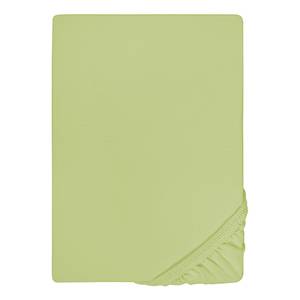 Drap housse en jersey élastique 0077866 Coton / Élasthanne - Vert pistache - 180-200 x 200-220 cm