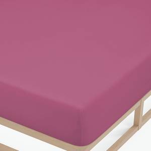 Feinjersey Spannbettuch 0077144 Baumwolle Jersey - Brombeere - 180-200 x 200 cm