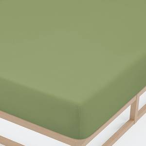 Drap housse en jersey élastique 0077866 Coton / Élasthanne - Vert - 180-200 x 200-220 cm