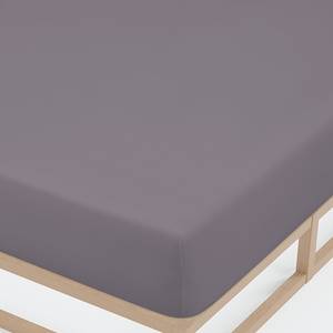 Lenzuolo con gli angoli 0077866 Cotone / Elastan - ArgentoGrigio - 90-100 x 200-220 cm