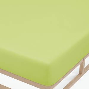 Drap housse en jersey fin 0077144 Jersey de coton - Vert pomme - 140 - 160 x 200 cm