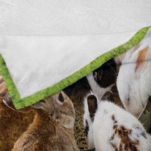 Plaid Lapin Polyester - Multicolore - 125 x 175 cm