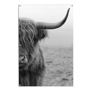 Affiche extérieur Highlander Bull PVC - Noir / Blanc