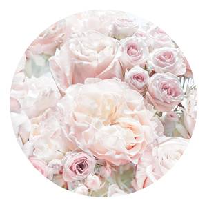Fotomurale Pink and Cream Roses Tessuto non tessuto - Rosa / Bianco
