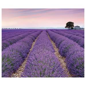 Papier peint Provence Intissé - Violet