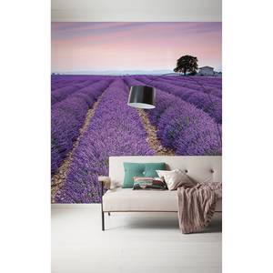 Fotobehang Provence vlies - lila