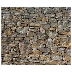 Fotomurale Stone Wall Tessuto non tessuto - Multicolore