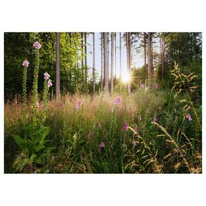 Fotobehang Summer Glade vlies - meerdere kleuren