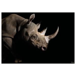 Fotobehang Rhinozeros vlies - zwart/bruin
