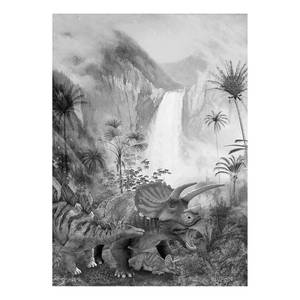 Fotobehang Jurassic Waterfall vlies - zwart/wit