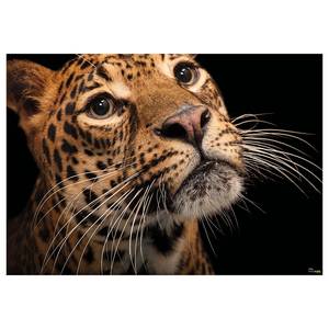 Fotobehang Javan Leopard vlies - bruin/zwart
