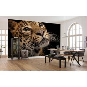 Fotobehang Javan Leopard vlies - bruin/zwart