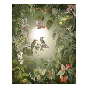 Papier peint intissé Wildlife Birds Intissé - Vert