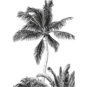 Fotomurale Retro Palm Tessuto non tessuto - Multicolore