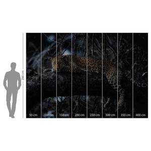 Fotobehang Panthera vlies - meerdere kleuren