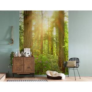Fotobehang Redwood vlies - groen/geel