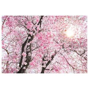 Fotobehang Bloom vlies - roze/bruin