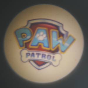 LED-kinderkamerlamp Paw Patrol XIII polycarbonaat - 1 lichtbron