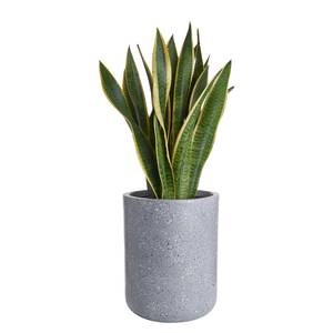 Pot de fleurs CONCRETE Magnésie - Gris - Diamètre : 26 cm